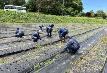 体験イベント「浄法寺漆を学ぶ一日」に当社社員が参加しました。